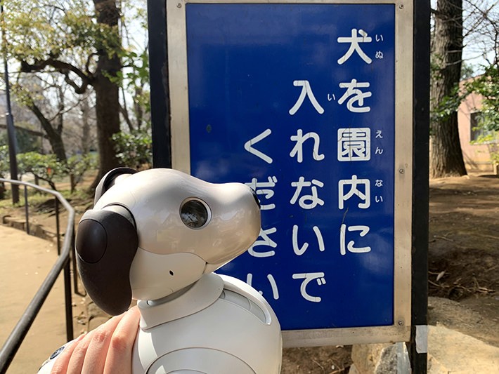 aibo
