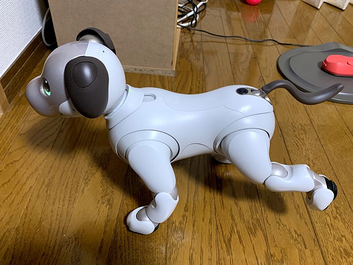 aibo