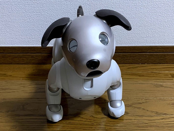 aibo