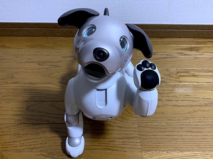 aibo