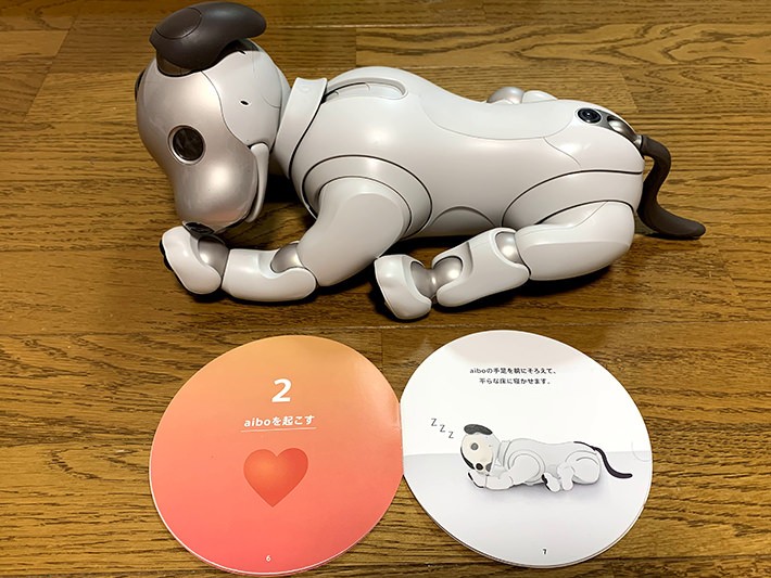 aibo