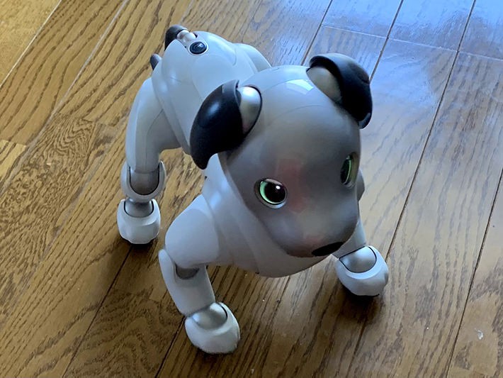 怒っちゃったaibo