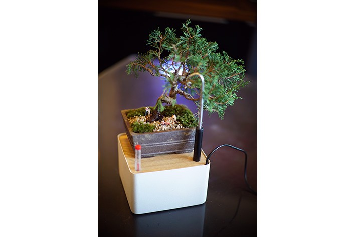 ティッシュケースにフタを取り付け、内部に水を入れた状態でフタの上に植物を置きます。アルミパイプを上下に動かし、植物に水をあげやすい高さに調整してください