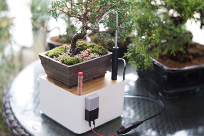 植物と語りあえる水やり機