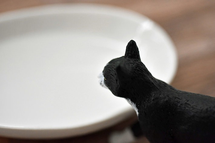 人感タグが反応すると、Googleスプレッドシートに猫が通った回数が記録されます