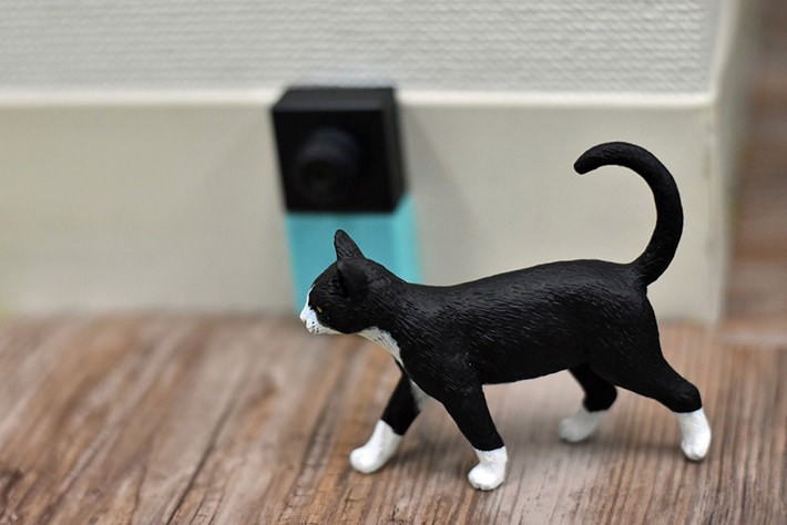 水飲み場近くの猫の通り道に人感タグを設置します