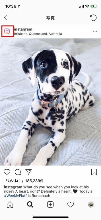 Instagramの使い方:初心者編