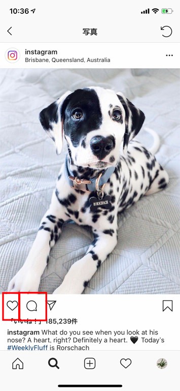 Instagramの使い方:初心者編