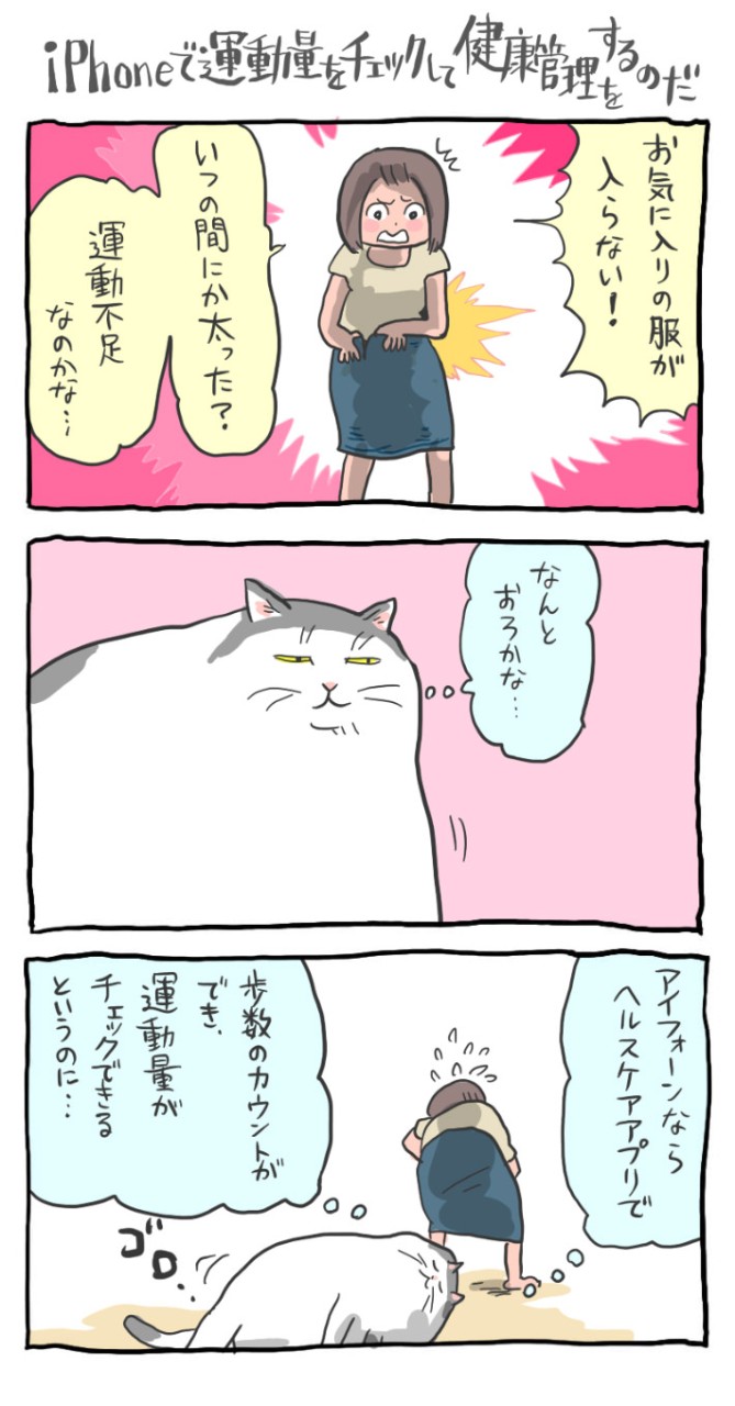 iphoneで運動量をチェックして健康管理をするのだ