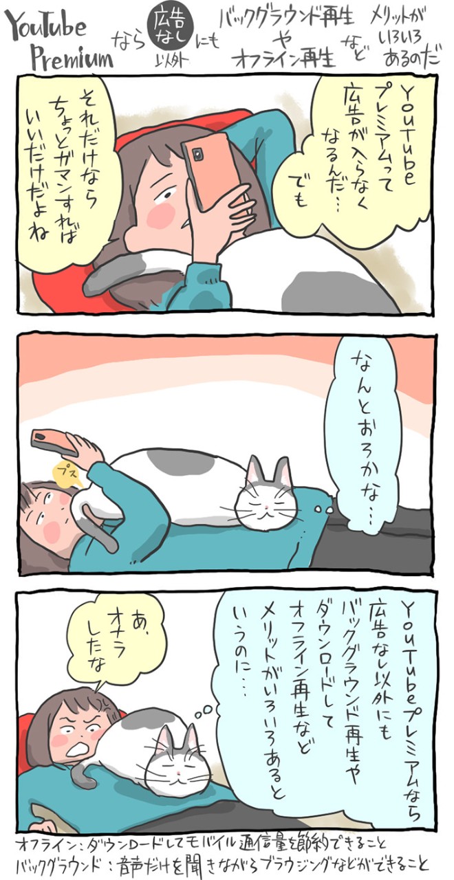 You Tube Premiumでできること