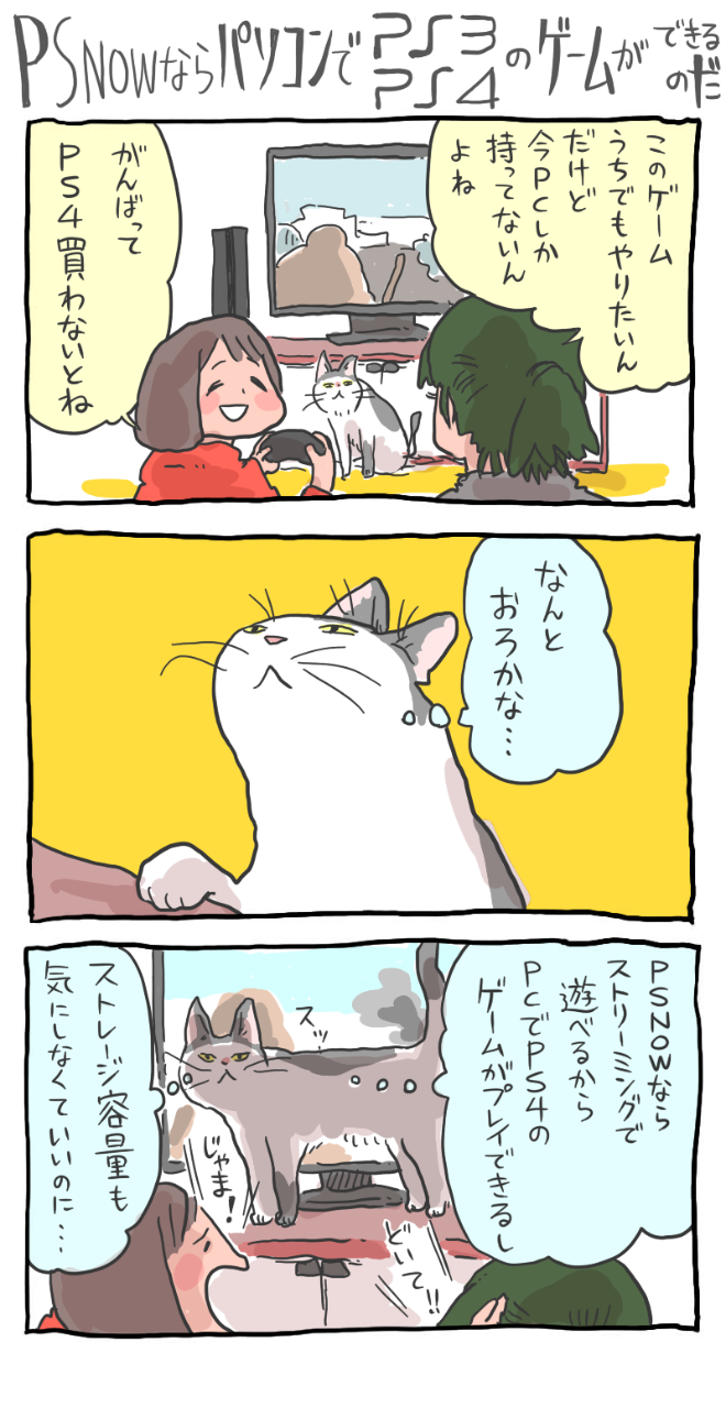 PS Nowとは?どんな人におすすめ?