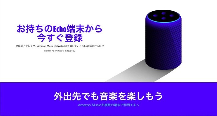 Echoプランなら割安