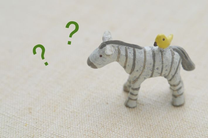 article_img_20111001_05 2種類のPS5はどちらを買えば良い?