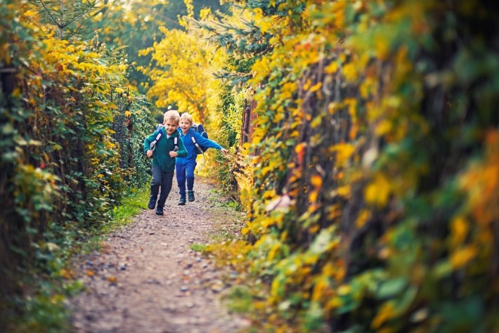 子供をテクノロジーに触れさせない「シュタイナー教育」