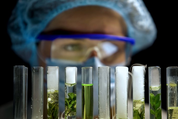 フードテックの市場