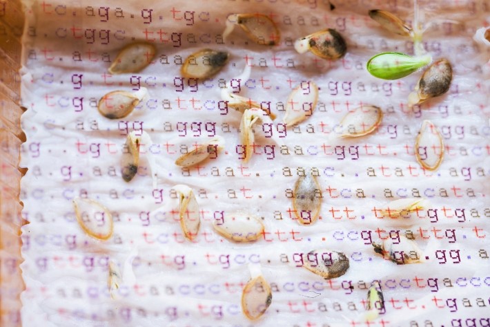 フードテック、アグテックの市場