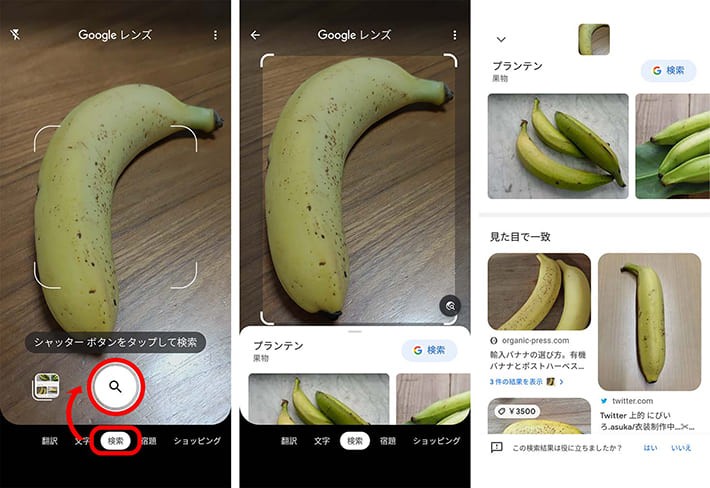 Googleレンズを使いプランテンを検索している画面