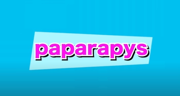 パパラピーズ