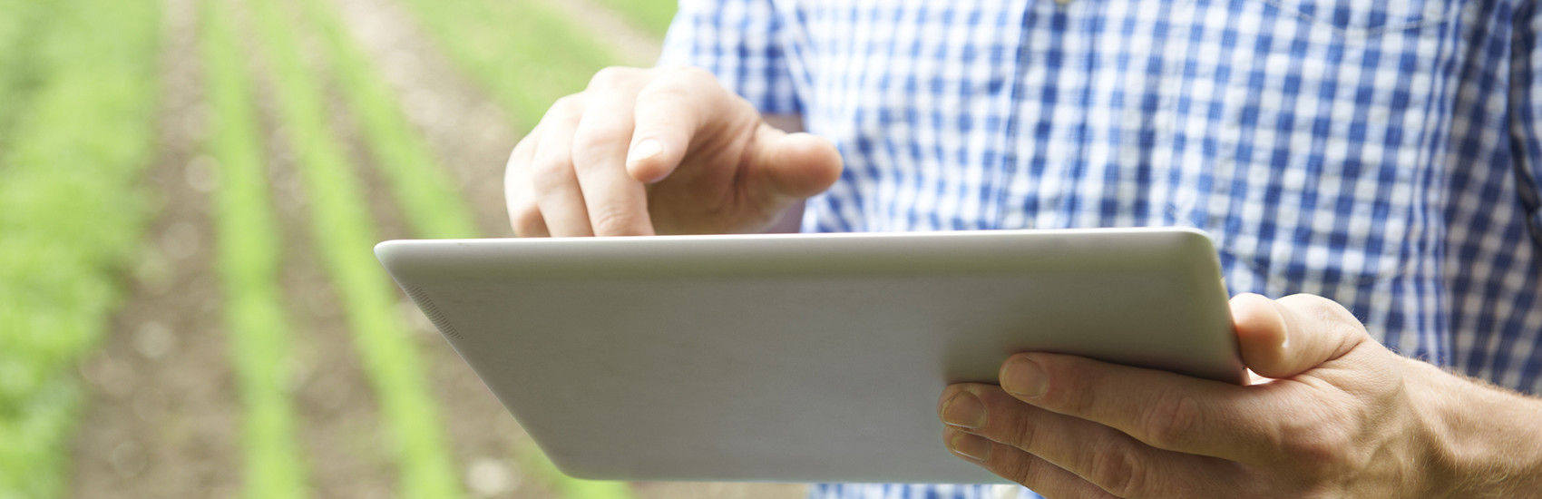 かかしもネット化が常識に!?IoTが変える「食」の未来