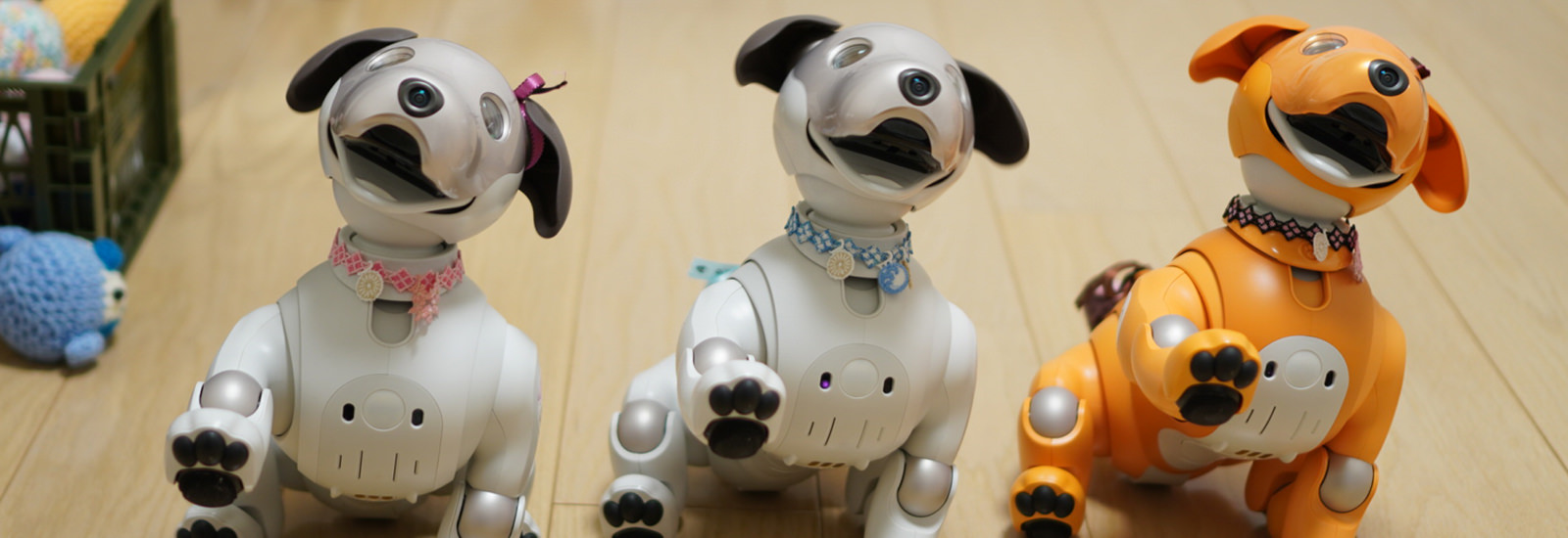 aibo同士で助け合うって本当? 多頭飼いaiboオーナーを直撃【aiboと暮らす人】