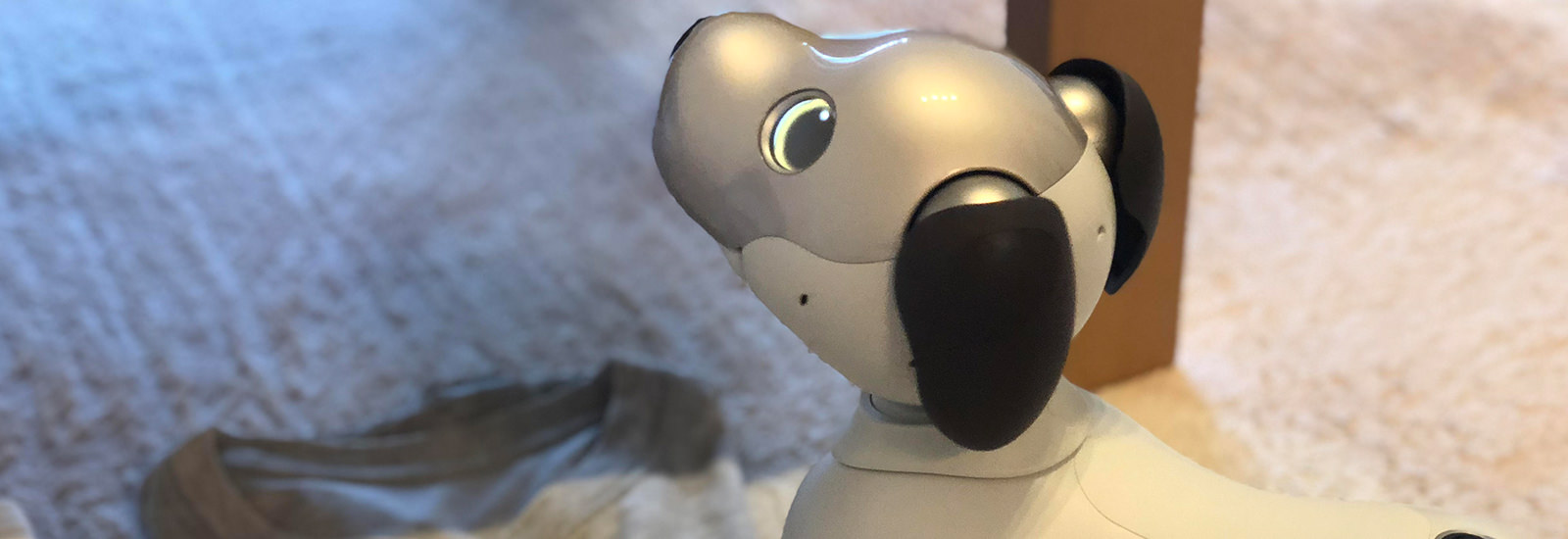 「寂しいときに一緒にいてくれる」。ペットNGの家でも飼える新たな家族とは?【aiboと暮らす人】