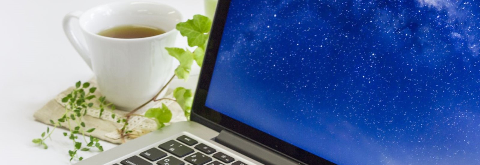 プロバイダと回線の違いとは?最適なプロバイダの選び方をチェック!