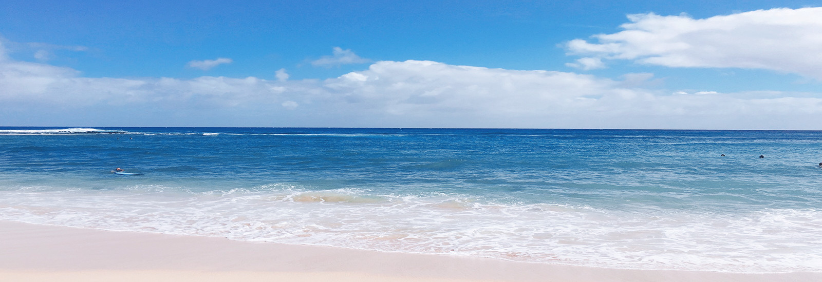 海外用のレンタルWi-Fi、おいくらに? ソネット社員がハワイで検証してみた