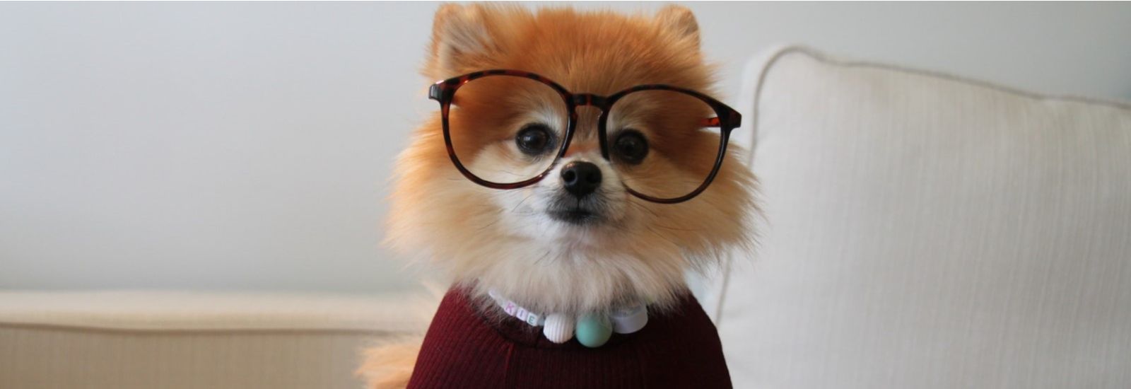 モデムとルーターの違いとは? ネットに不可欠なデバイス「ONU」を解説