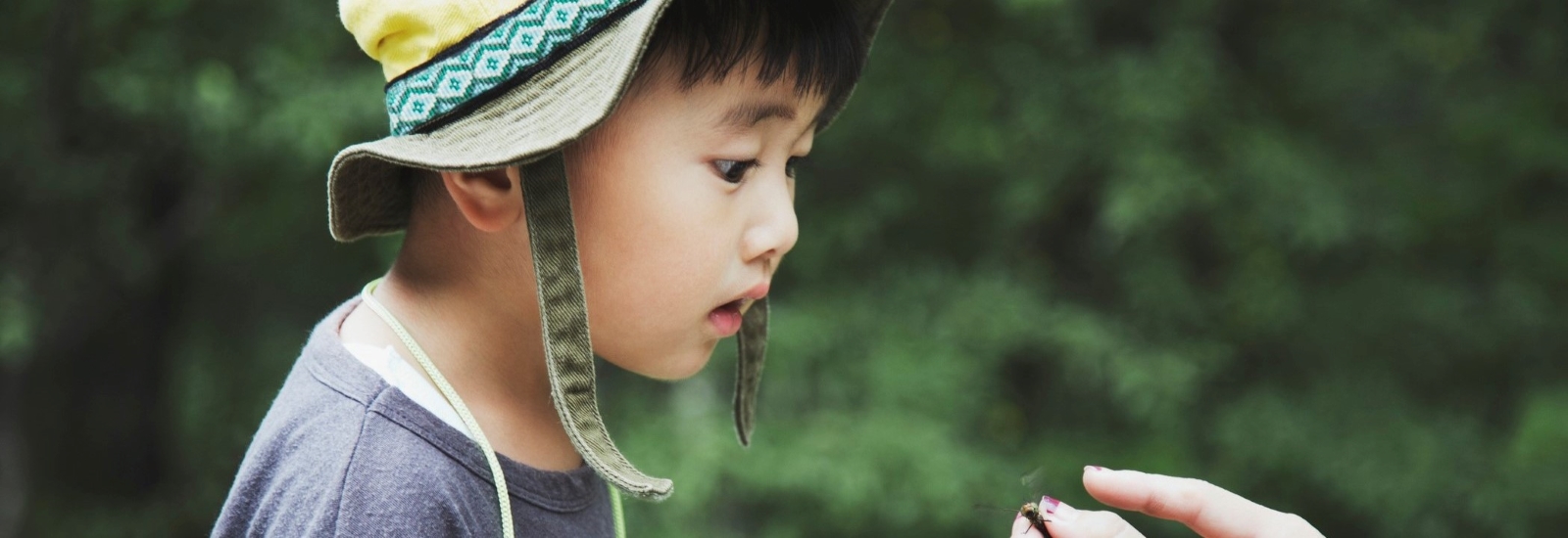 中学までテクノロジーとは無縁のシュタイナー教育とは?