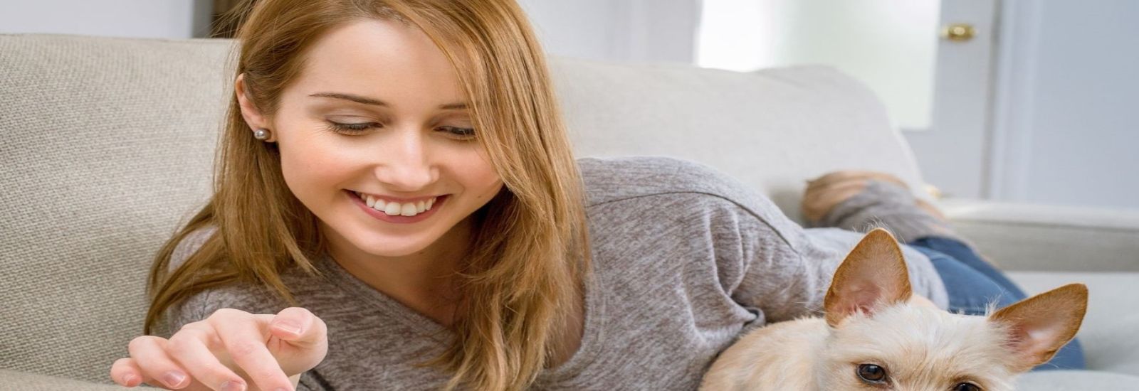 メッシュWi-FiとはどんなWi-Fi?機能・導入のメリットについて解説