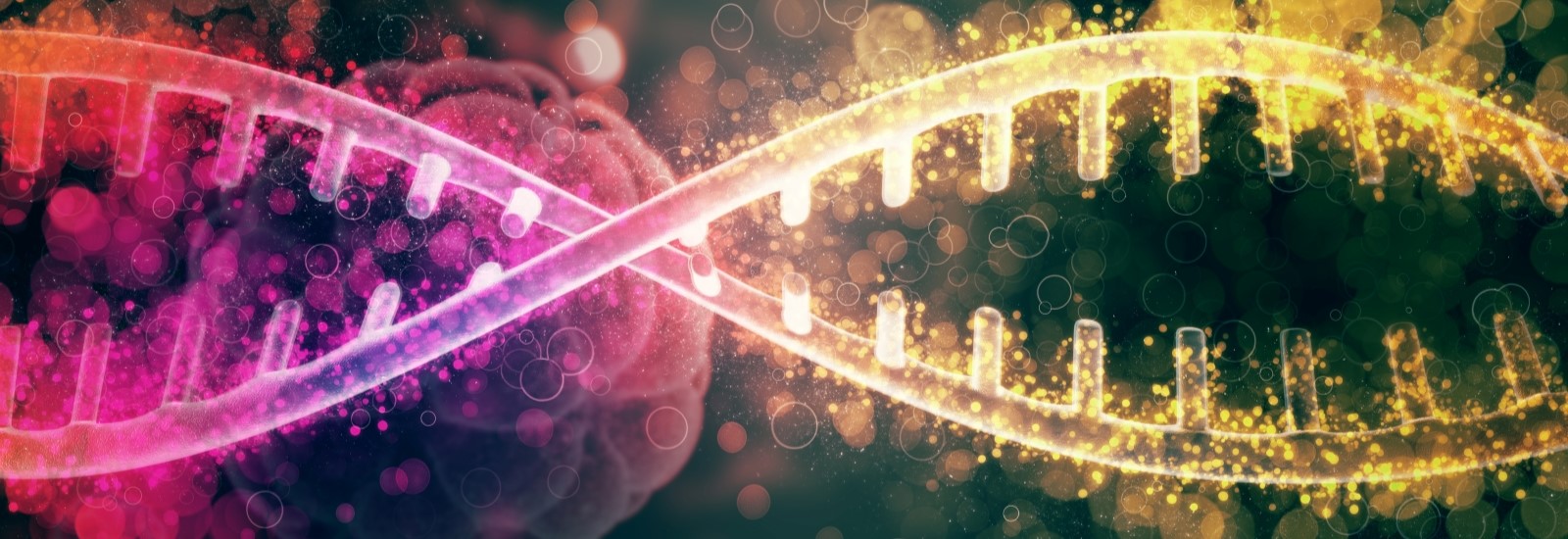 【2025年最新版】遺伝子検査キットおすすめ5選!信頼性や選び方を徹底解説